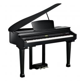 Изображение продукта Kurzweil KAG100 EP